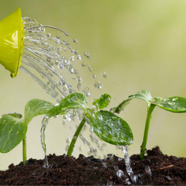 Cultivating Resilience in Teenagers